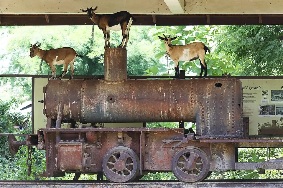 Puente ferroviario colonial francés en Don Khone, 4000 Islas, Laos