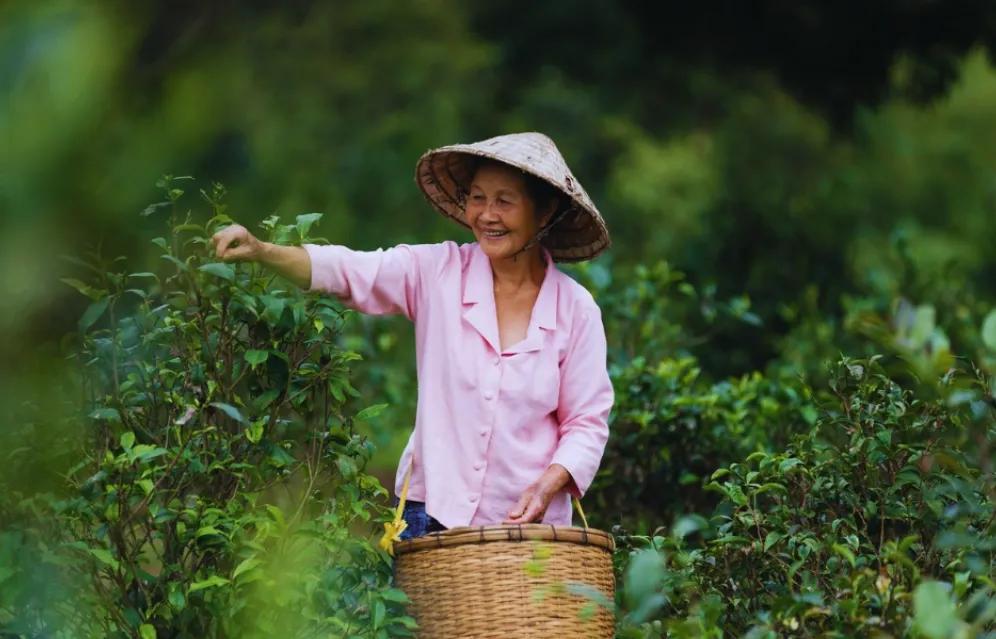 Mr Vieng coffee farm and village, Bolaven Plateau
